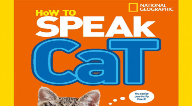 HOW TO SPEAK CAT – Review